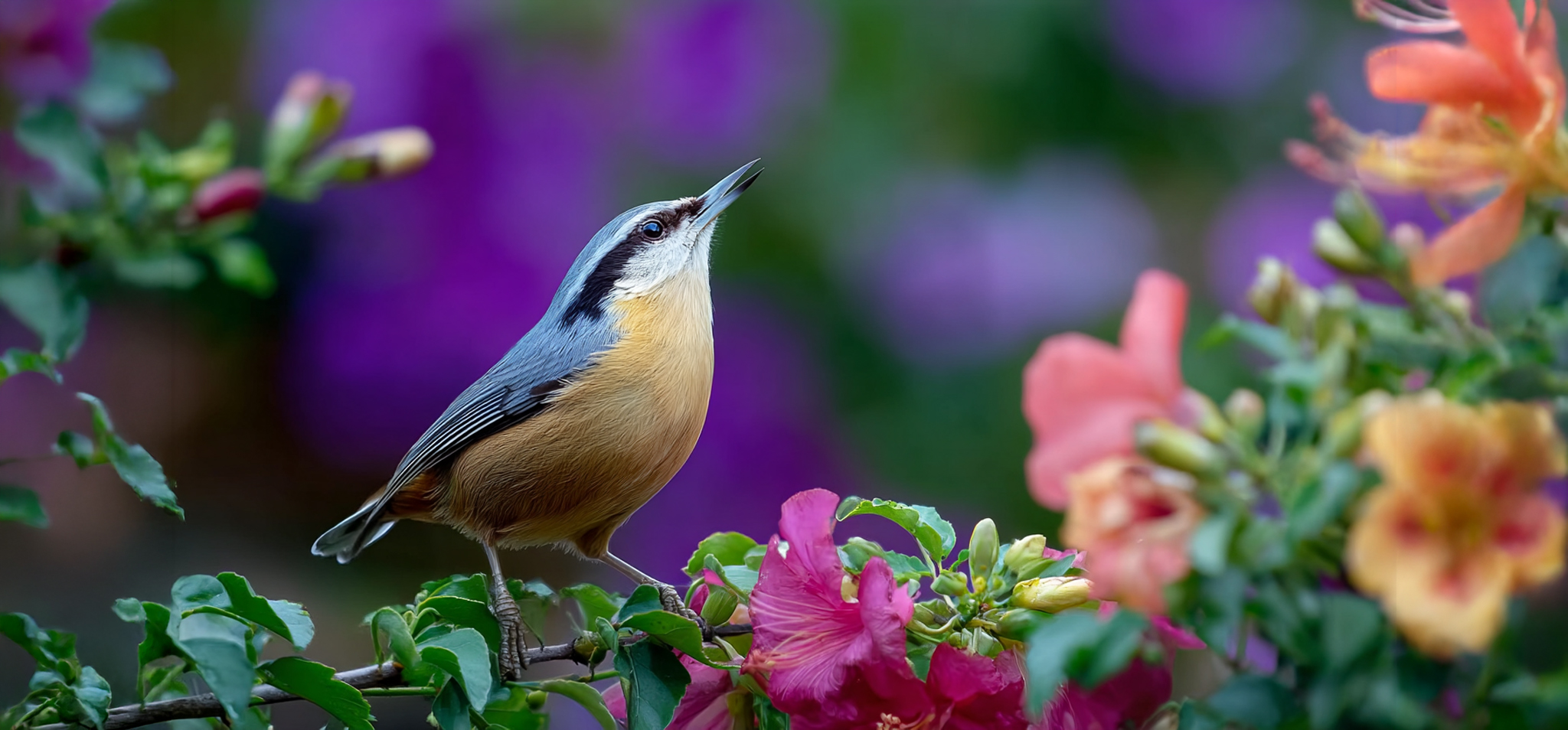 10 вещей, которые вы можете сделать с помощью камеры видеонаблюдения